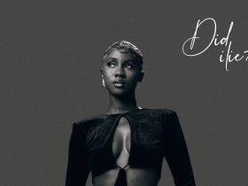 Cina Soul Explores Love and Growth With 'Did I Lie' Album Cina Soul DID I LIE Art